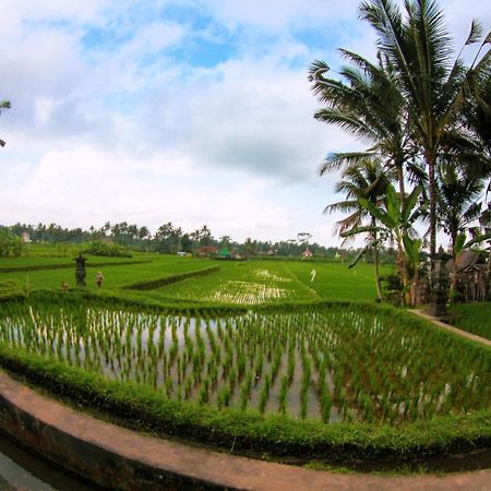 Vinarya Villa Ubud  Ngoại thất bức ảnh