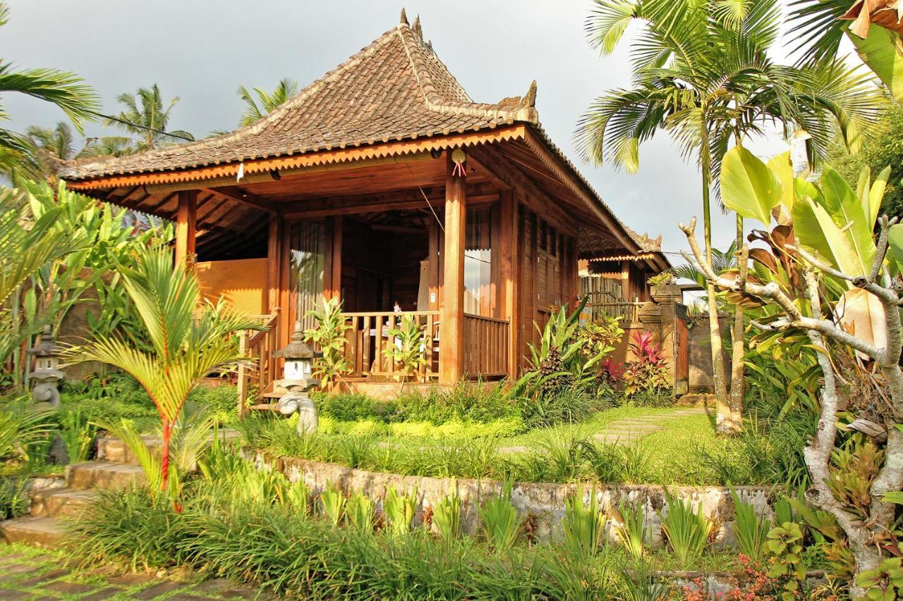 Vinarya Villa Ubud  Ngoại thất bức ảnh